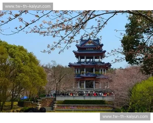 樱花怒放，龙腾燕赵：浦和红钻与北京国安的亚洲足球史诗